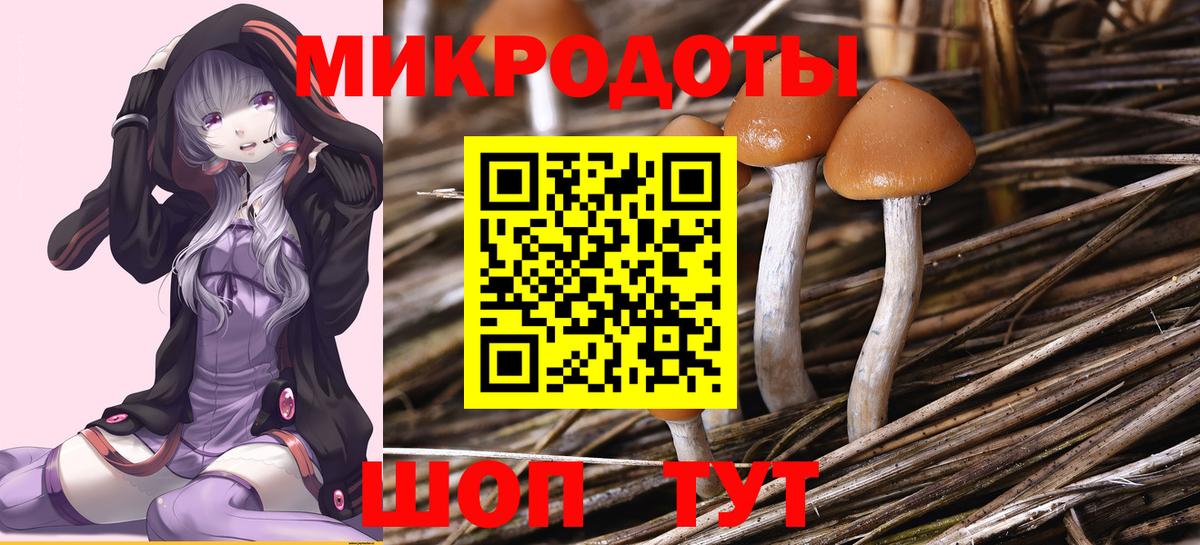 Псилоцибиновые грибы GOLDEN TEACHER  Вход с VPN  Калининград 