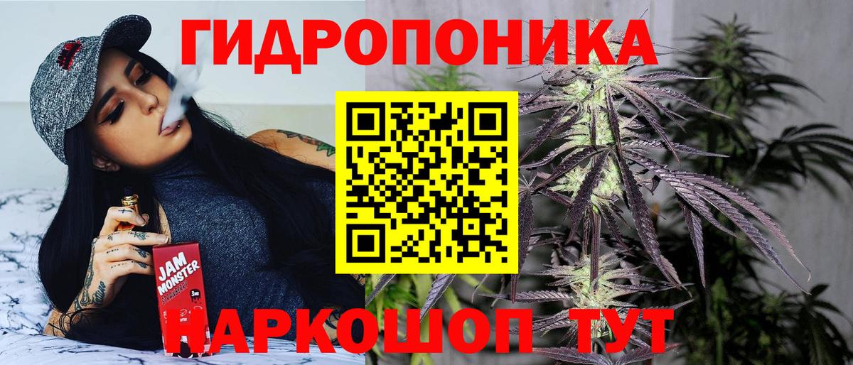 Бошки Шишки план  Вход с VPN  Калининград  Канабис планчик 
